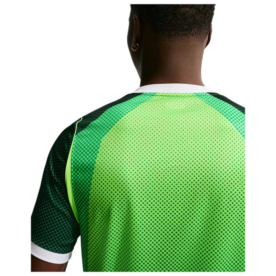 Nike Ανδρική κοντομάνικη μπλούζα Nigeria 2026 Stadium Home Dri-FIT Jersey